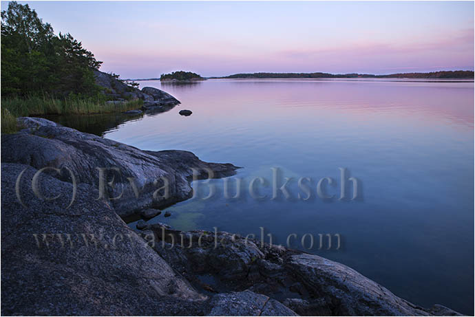 Midsommargryning - foto av Eva Bucksch